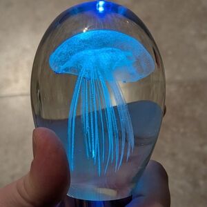 Art Glass Jellyfish paperweight GLOW In-The-Dark Dynasty Gallery 3.5tall